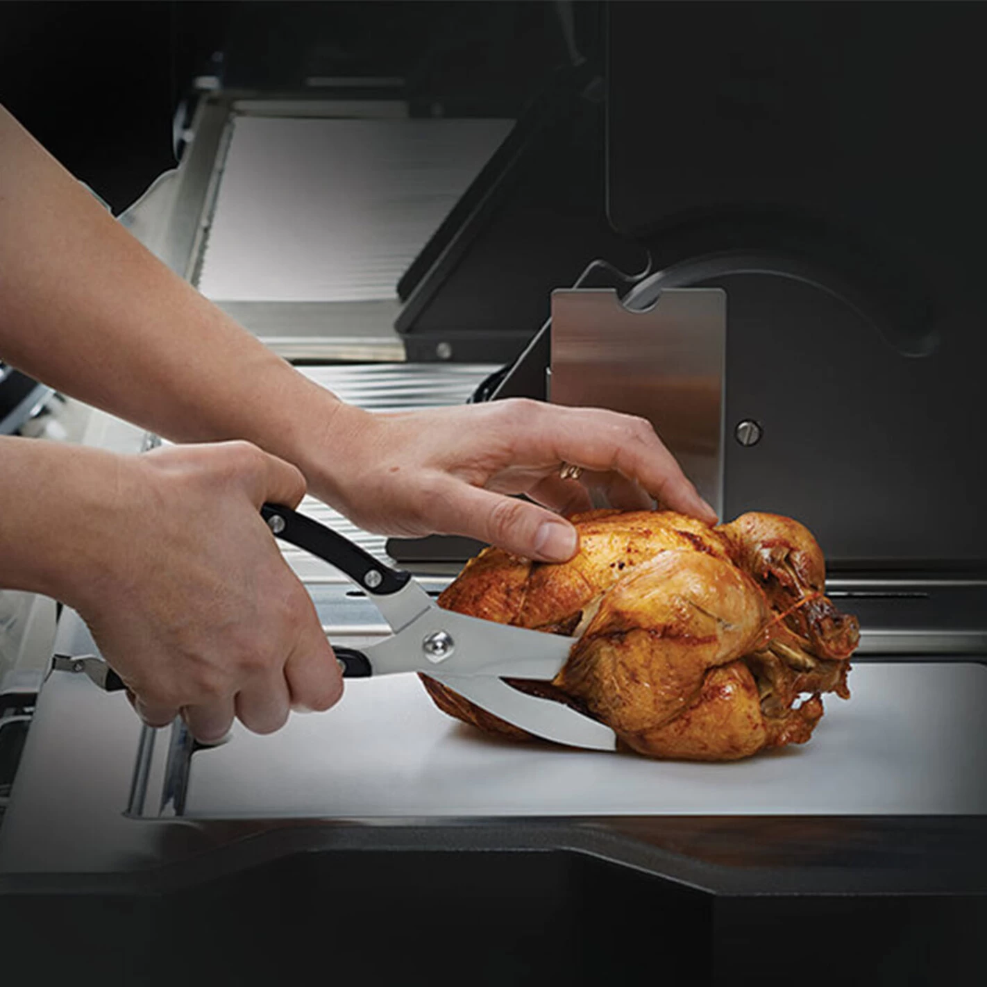 Ciseaux à Poulet En Inox - Napoleon* 2 Ciseaux à Poulet En Inox - Napoleon* – Image 2