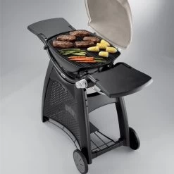 Grille De Cuisson Fonte émaillée Q300/Q3000 - Weber 7 Grille De Cuisson Fonte émaillée Q300/Q3000 - Weber -Foyer Extérieur Pour Barbecue grille de cuisson pour q300 barbecue a gaz weber 0077924038853 3