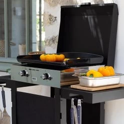 Plancha Gaz Initial 50 Fonte émaillée - ENO -Foyer Extérieur Pour Barbecue plancha initial 50 eno 3224780041818 3